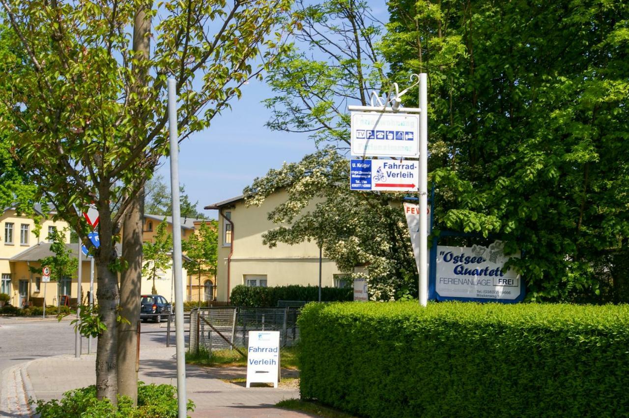 Fewo Zinnowitz Ostseequartett Zewnętrze zdjęcie